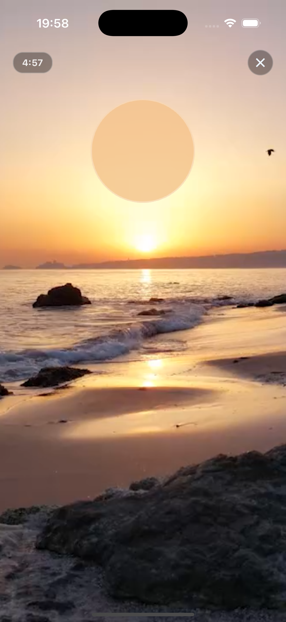 Beach background session