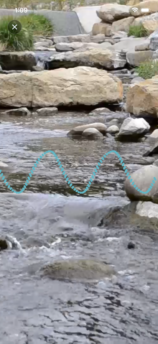 جلسة بخلفية النهر