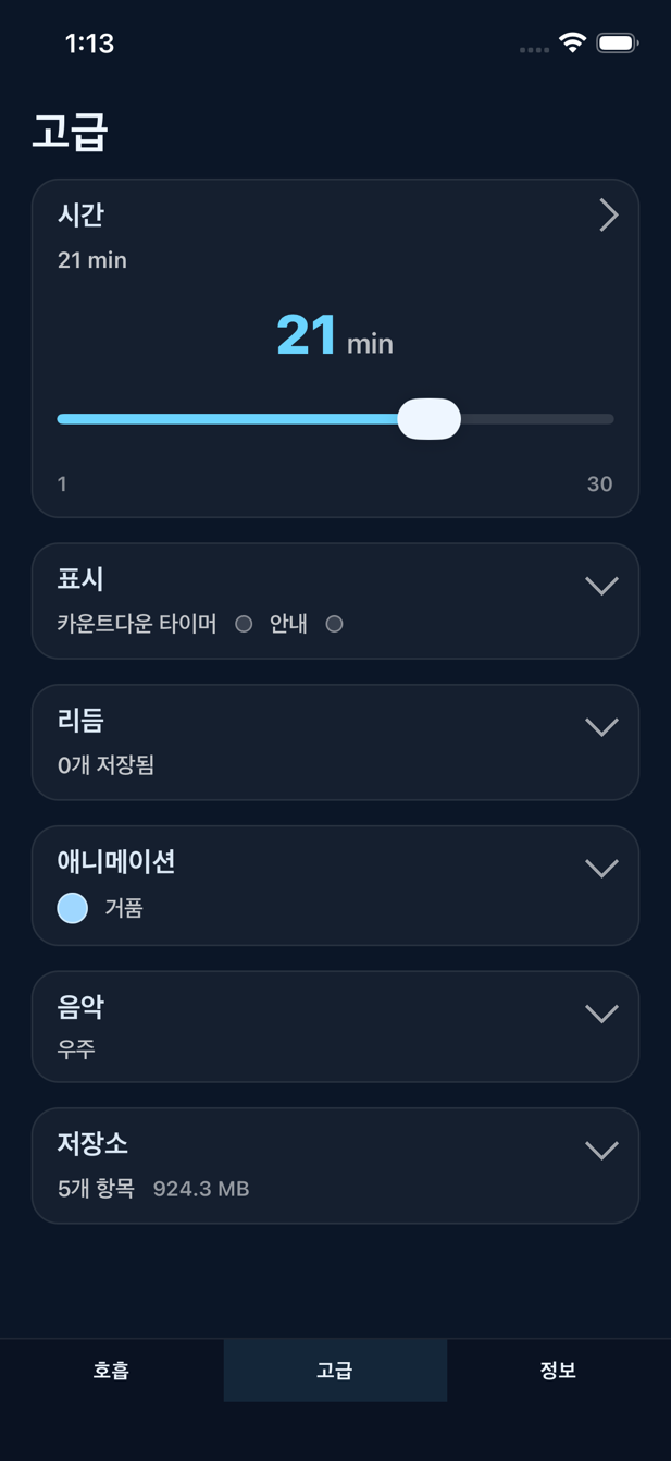 고급 옵션 화면