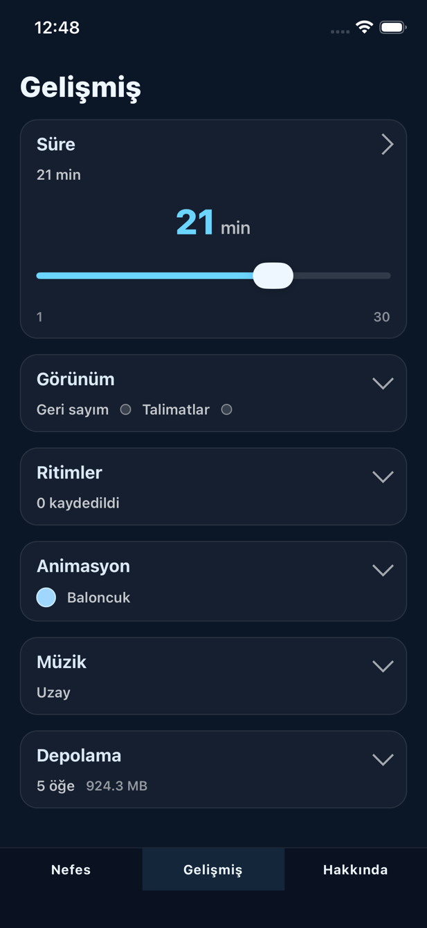 Gelişmiş seçenekler ekranı