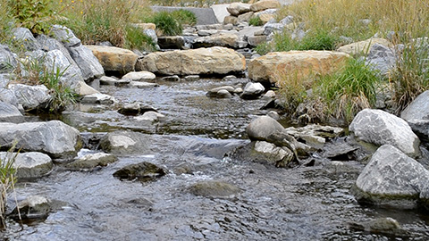 River background thumbnail