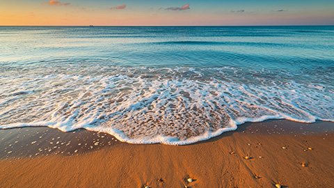 Seashore background thumbnail